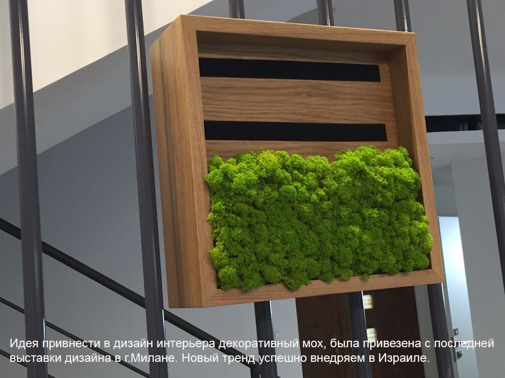 дизайн интерьера в израиле