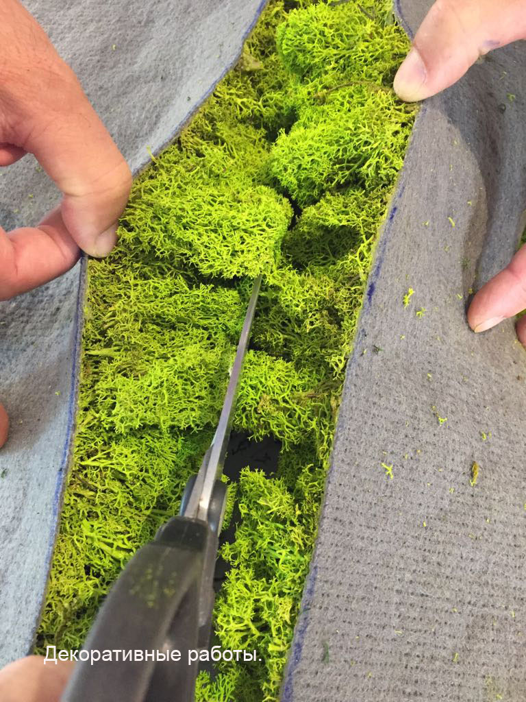 дизайн интерьера в израиле